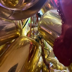 クリスマス 飾り 特大の画像