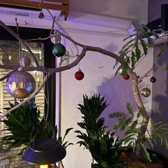 クリスマスオーナメント  54個の画像