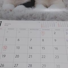 ゆかいな子犬たちカレンダー2026の画像