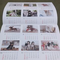 ゆかいな子犬たちカレンダー2026の画像