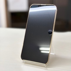 AランクiPhone 13 Pro 256GBの画像