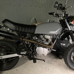 エイプ　カスタム　タンク塗装したて！の画像