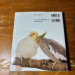 かわいい インコの飼い方の画像