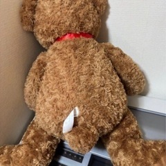 テディベア🧸（美品）の画像
