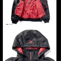 MA-1  ALPHA INDUSTRIES  STRIC-Gの画像