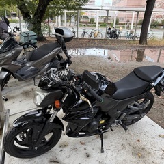 SYM WOLF250ni  125スクーター交換希望の画像