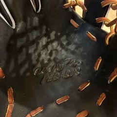 ワールドペガサス　　グローブ　左利き用の画像