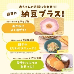 納豆パウダーの画像