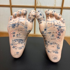 12月30日まで❣️足の模型　両足の画像