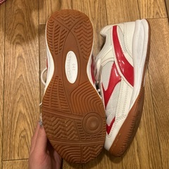 体育館シューズの画像