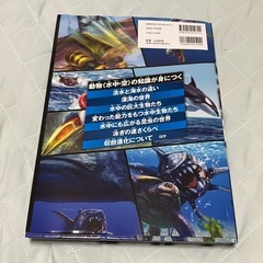 ほぼ新品 水中&空中最強王図鑑 DXワイド版の画像