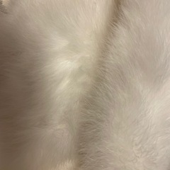 成人式　着物　フェザーショールの画像