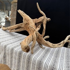 天然流木　7点の画像