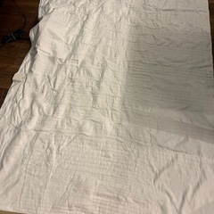 ✨電気毛布✨の画像