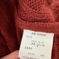 赤茶カットソー？薄手セーターの画像