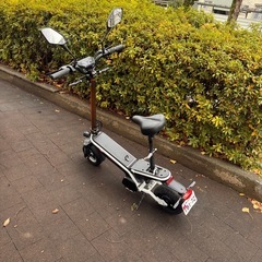 電動原付 FreeMile plus 書類完備 自賠責3年付 リアタイヤ新品の画像