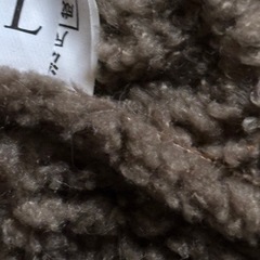 レディース　アウター　茶色　Lサイズの画像