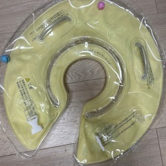 スイマーバ(レギュラーサイズ)の画像