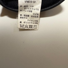 　VESP　スキー/スノーボードグローブの画像