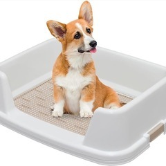 アイリスオーヤマ　トレーニング　犬トイレ　ワイドサイズの画像