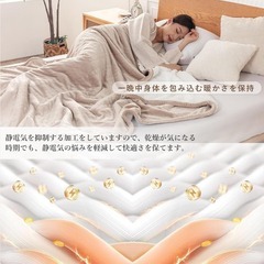 電気毛布❣️フランネル シープボア 両面 掛け敷き兼用 洗える 140×180㎝の画像