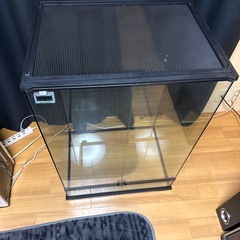 引取り限定　レインフォレストタンク L High90 大型透明ガラス飼育ケージの画像