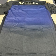 町田ゼルビアサッカーシャツの画像