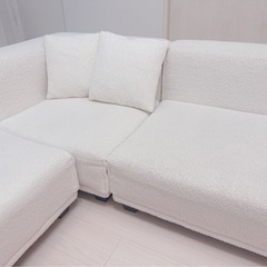 お譲り先が決まりましたの画像