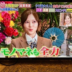 【完動品】TCL製液晶カラーテレビ32S5400の画像