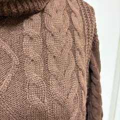 ブタートルブラウンの画像