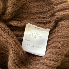 ブタートルブラウンの画像