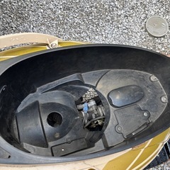 シグナスの画像