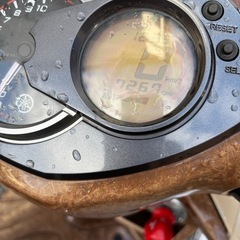 シグナスの画像