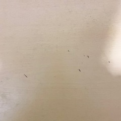 机 パソコン デスク システム  ラック 収納の画像