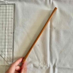 赤い実の扇子の画像