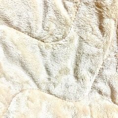 新品タグ付き西川の冬用敷きパッド毛布ベージュ/シングルの画像