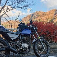 ホンダ、HONDA、FTR223、実働とても快調ですが難ありです。群馬＆埼玉北部（譲渡後）限定ですの画像