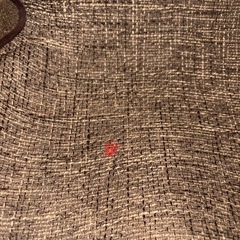 【Style】 骨盤サポートチェアの画像