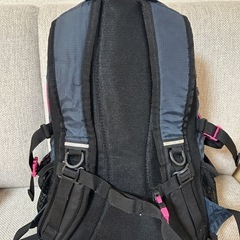 Colemanリュックサックの画像