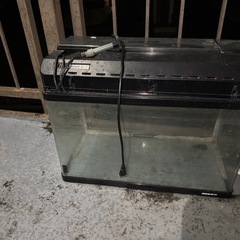水槽の画像