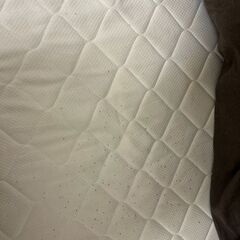 シングルベッド、机、椅子、等が無料です。の画像