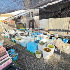 この敷地にある物全部で！の画像