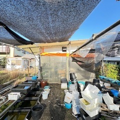 この敷地にある物全部で！の画像