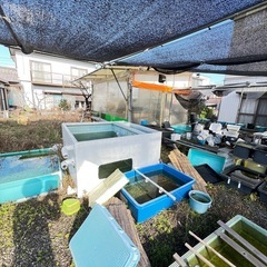 この敷地にある物全部で！の画像