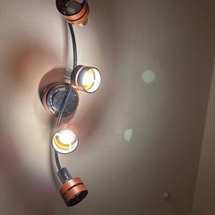 シーリングライト 照明 リビング ダイニング インテリア  の画像