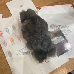 【決まりました】ラブブ、シークレットの画像