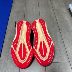 asics NOVABLAST 5の画像