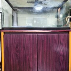 水槽セットの画像