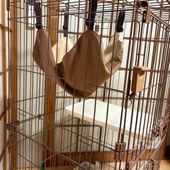 猫ゲージ / キャットハウス/ ペットゲージ/エサ付きの画像