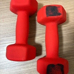 ダルベル4キロ2個の画像